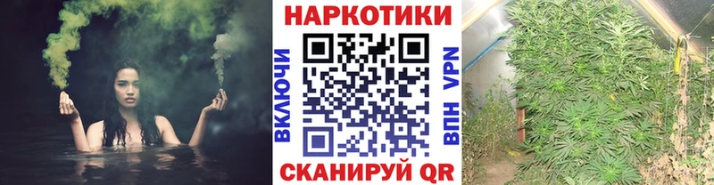 Наркошоп купить ГАШИШ  Марихуана  COCAIN  ЭКСТАЗИ  Меф  Зубцов